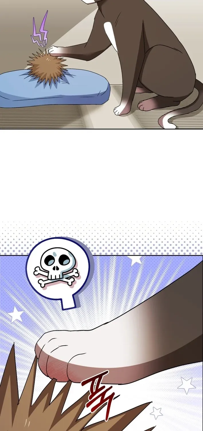 Hello, Mr. Veterinarian! Chapter 100 page 45 - 