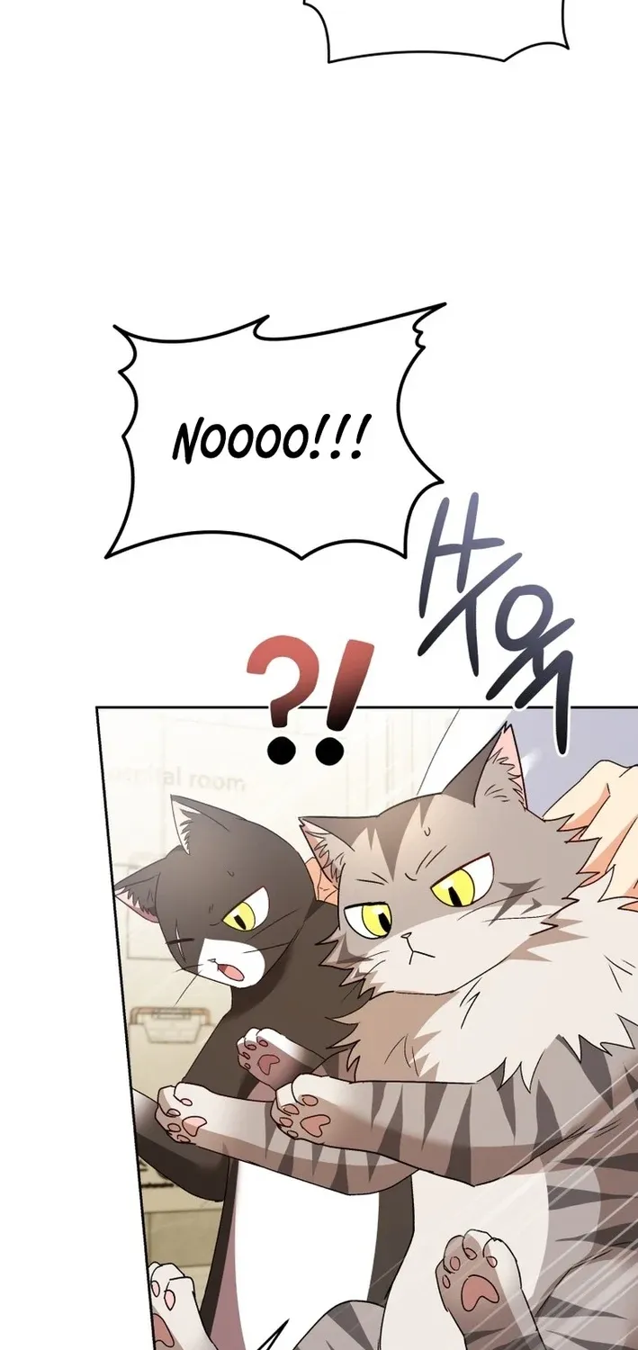 Hello, Mr. Veterinarian! Chapter 100 page 51 - 