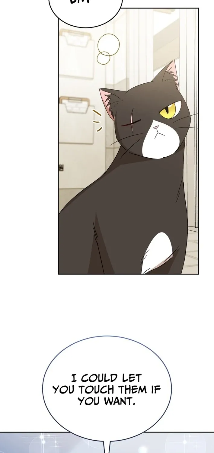 Hello, Mr. Veterinarian! Chapter 100 page 73 - 