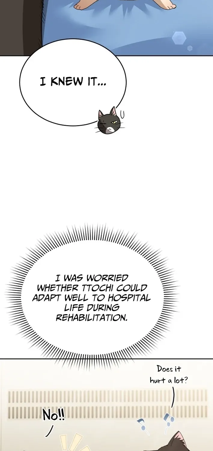 Hello, Mr. Veterinarian! Chapter 100 page 78 - 