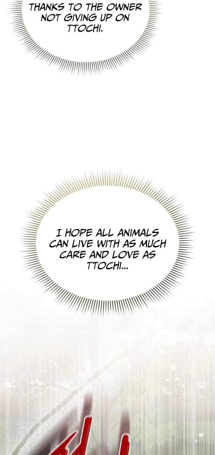 Hello, Mr. Veterinarian! Chapter 100 page 91 - 