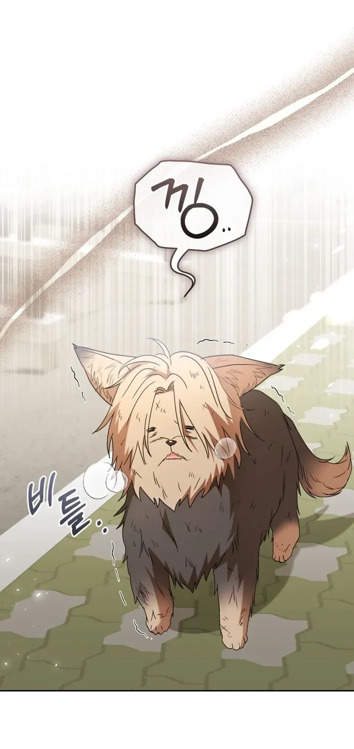 Hello, Mr. Veterinarian! Chapter 101 page 17 - 