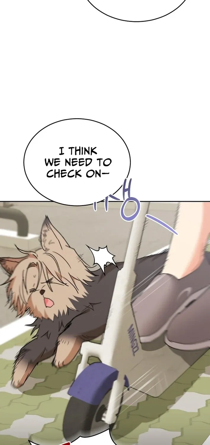 Hello, Mr. Veterinarian! Chapter 101 page 19 - 