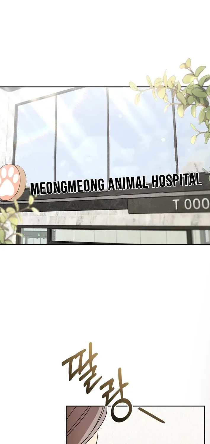 Hello, Mr. Veterinarian! Chapter 101 page 27 - 