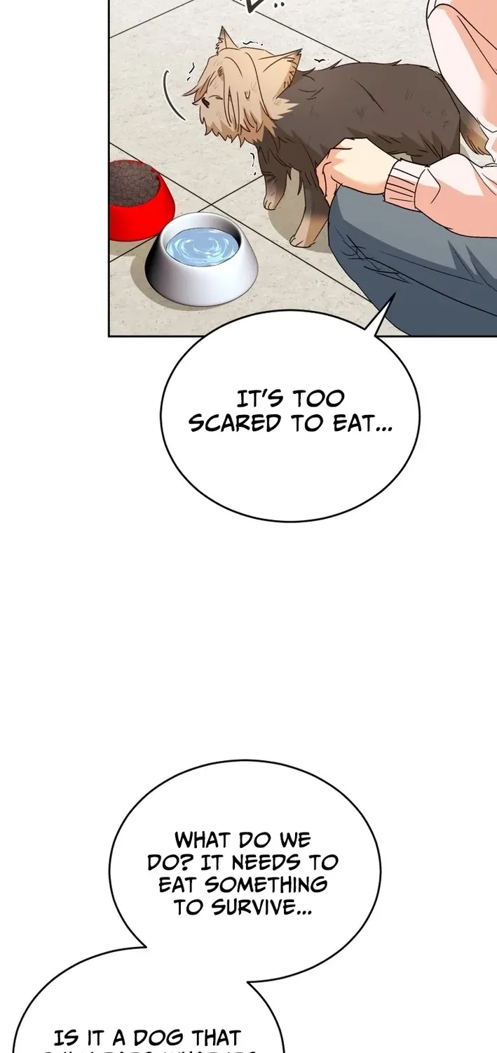 Hello, Mr. Veterinarian! Chapter 101 page 34 - 