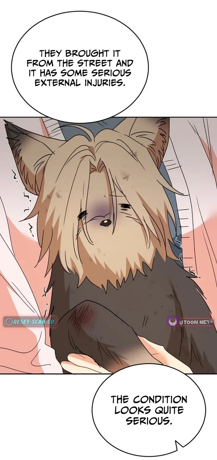 Hello, Mr. Veterinarian! Chapter 101 page 42 - 