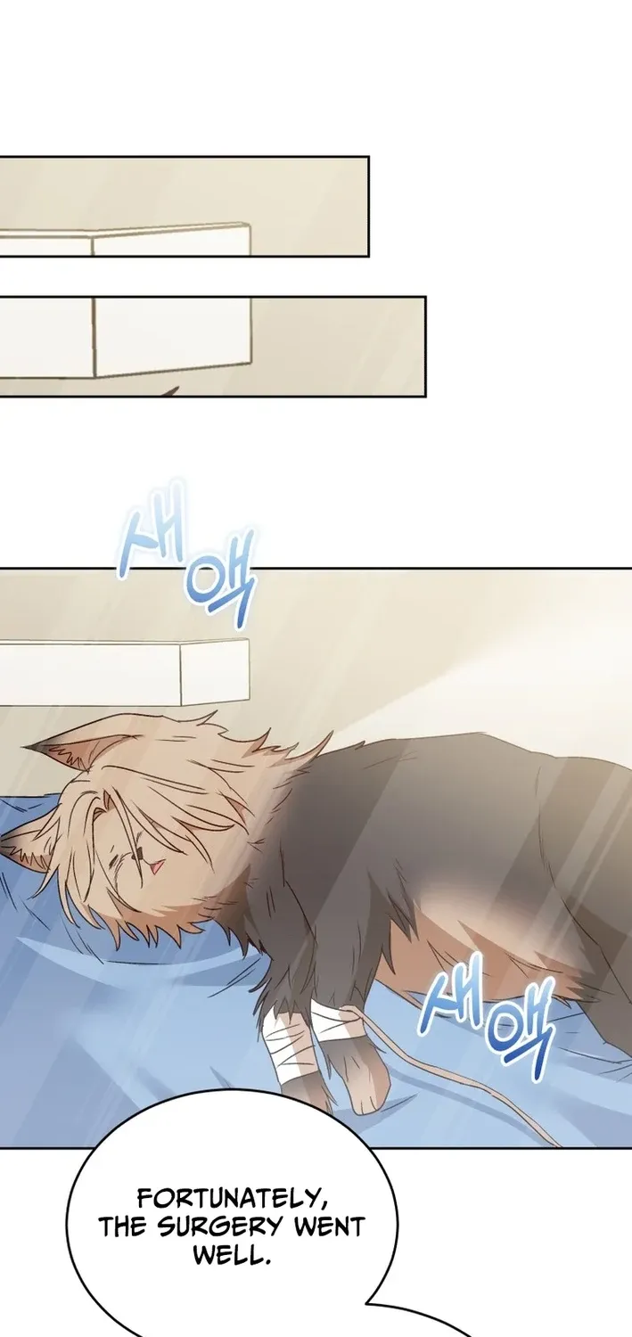 Hello, Mr. Veterinarian! Chapter 101 page 46 - 