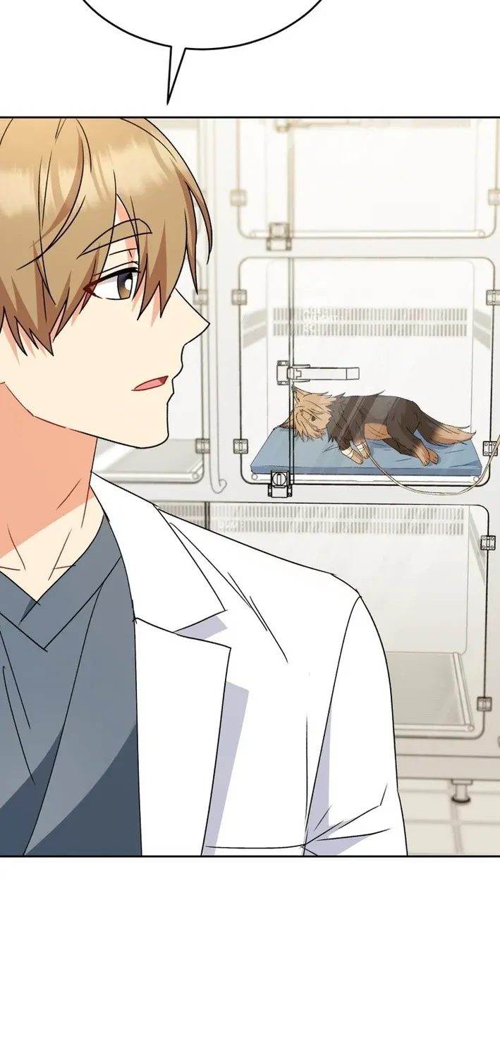 Hello, Mr. Veterinarian! Chapter 101 page 61 - 