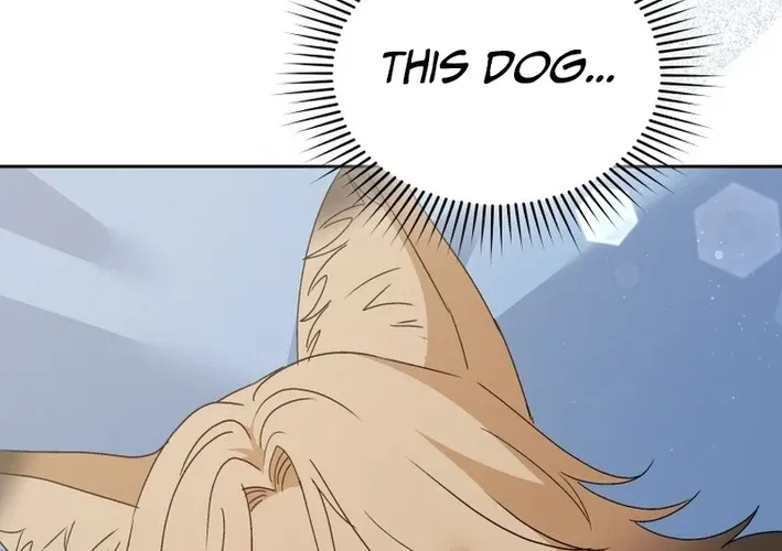Hello, Mr. Veterinarian! Chapter 101 page 64 - 