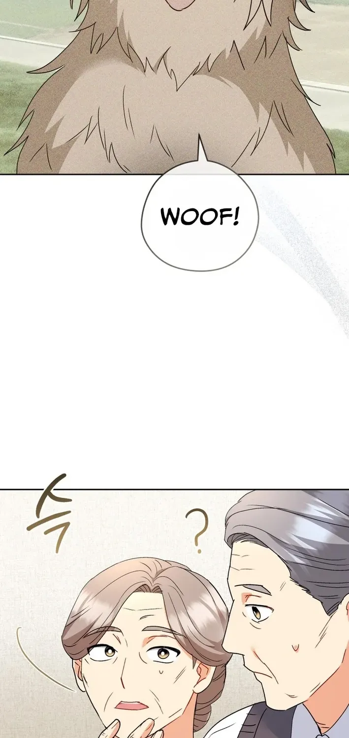 Hello, Mr. Veterinarian! Chapter 101 page 66 - 