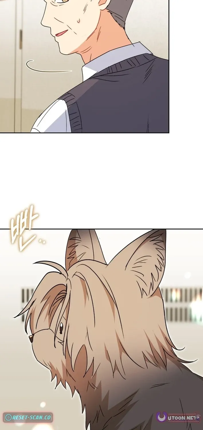 Hello, Mr. Veterinarian! Chapter 101 page 70 - 