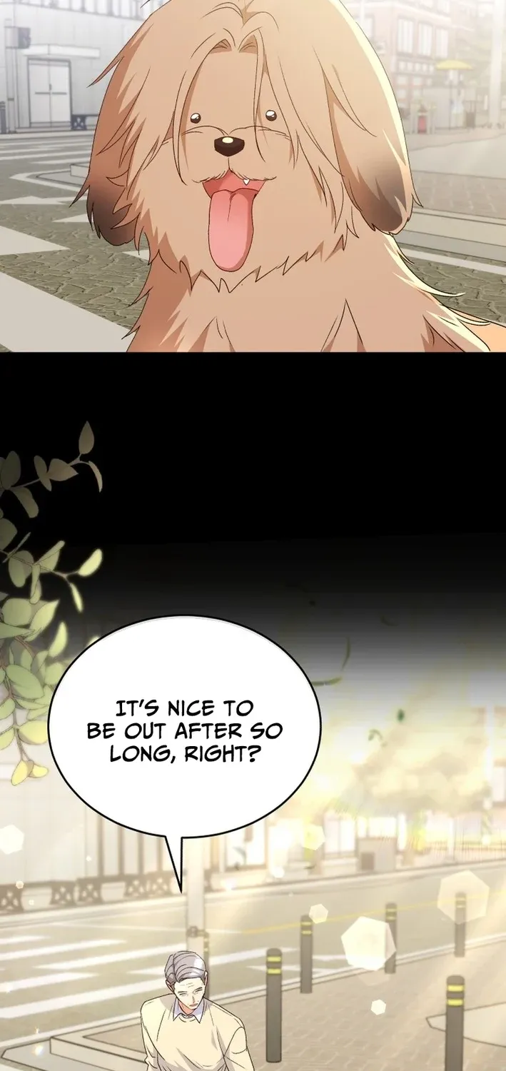 Hello, Mr. Veterinarian! Chapter 102 page 37 - 