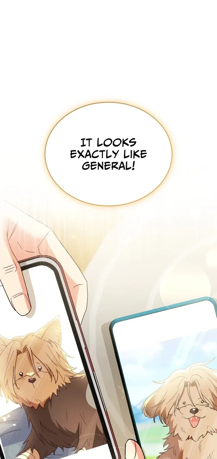 Hello, Mr. Veterinarian! Chapter 102 page 5 - 