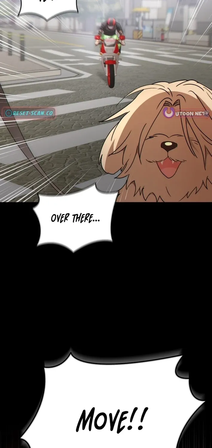 Hello, Mr. Veterinarian! Chapter 102 page 41 - 