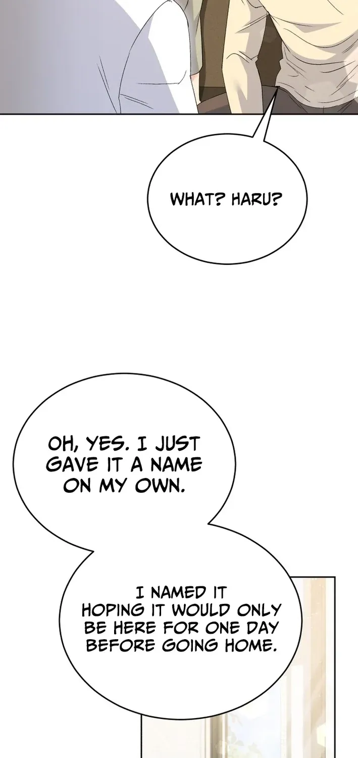 Hello, Mr. Veterinarian! Chapter 102 page 63 - 