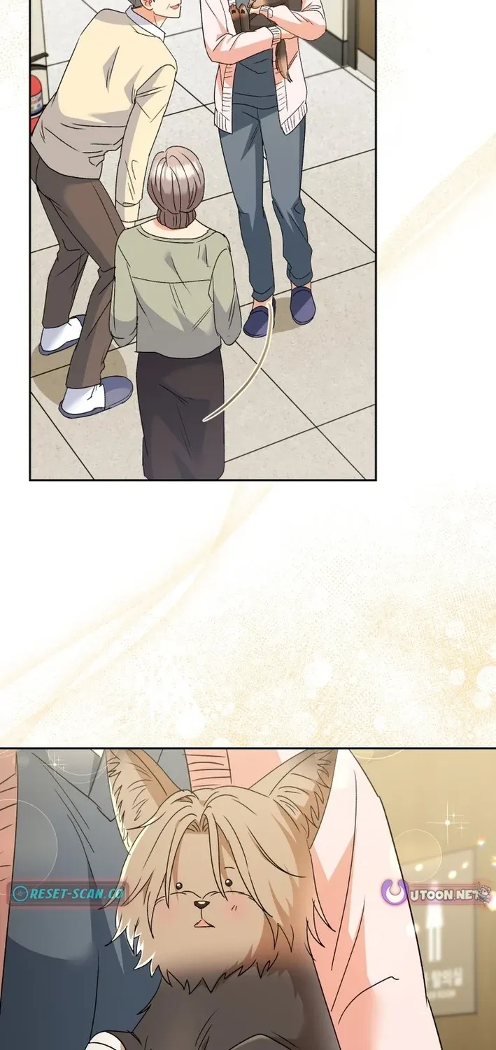 Hello, Mr. Veterinarian! Chapter 102 page 67 - 