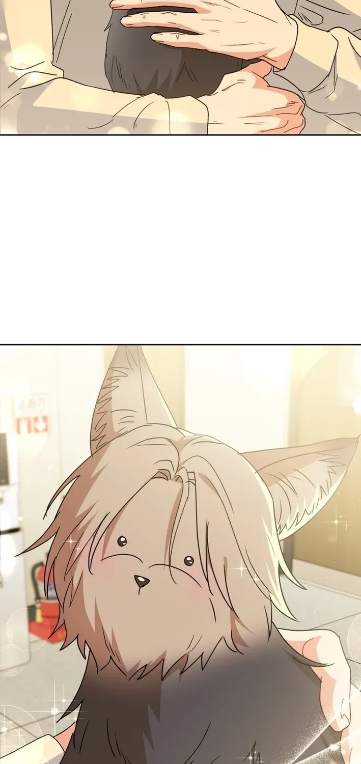 Hello, Mr. Veterinarian! Chapter 102 page 74 - 