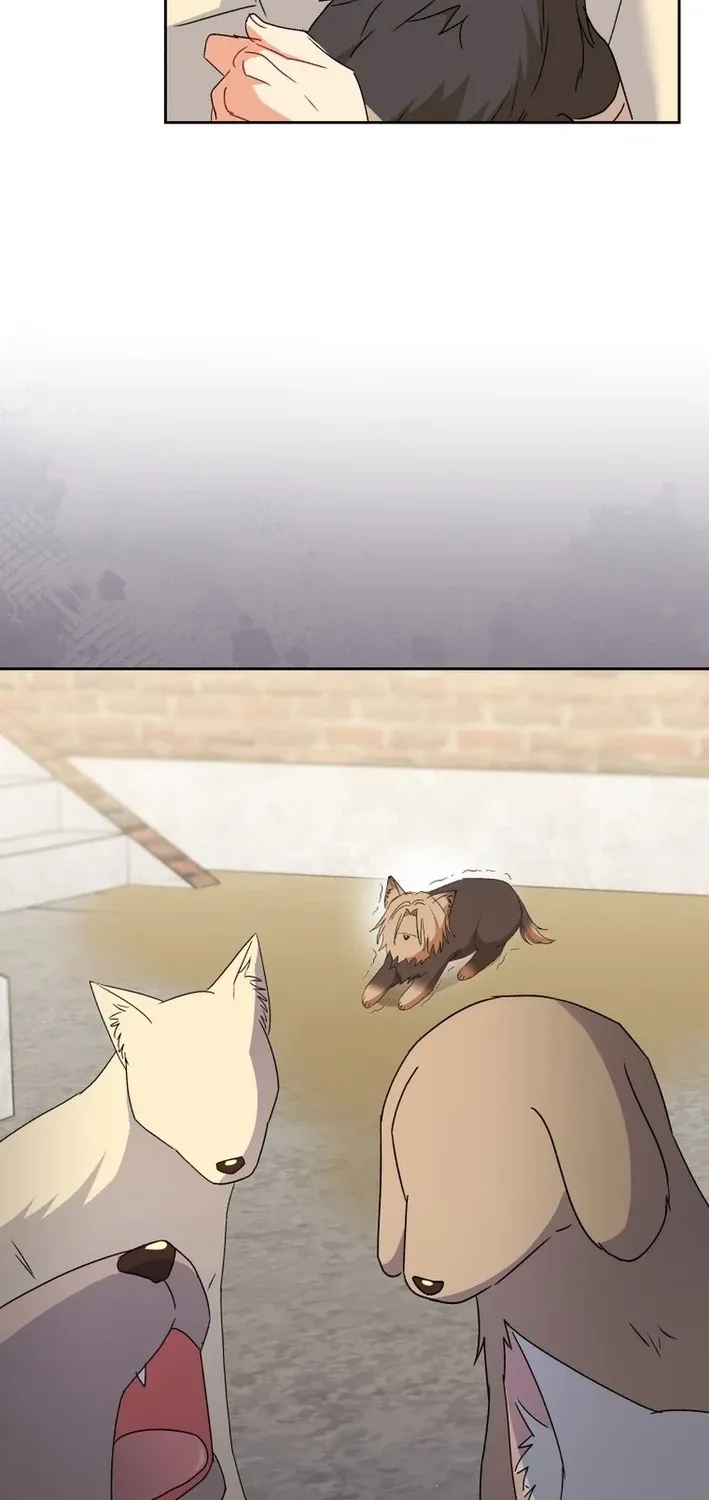 Hello, Mr. Veterinarian! Chapter 102 page 82 - 
