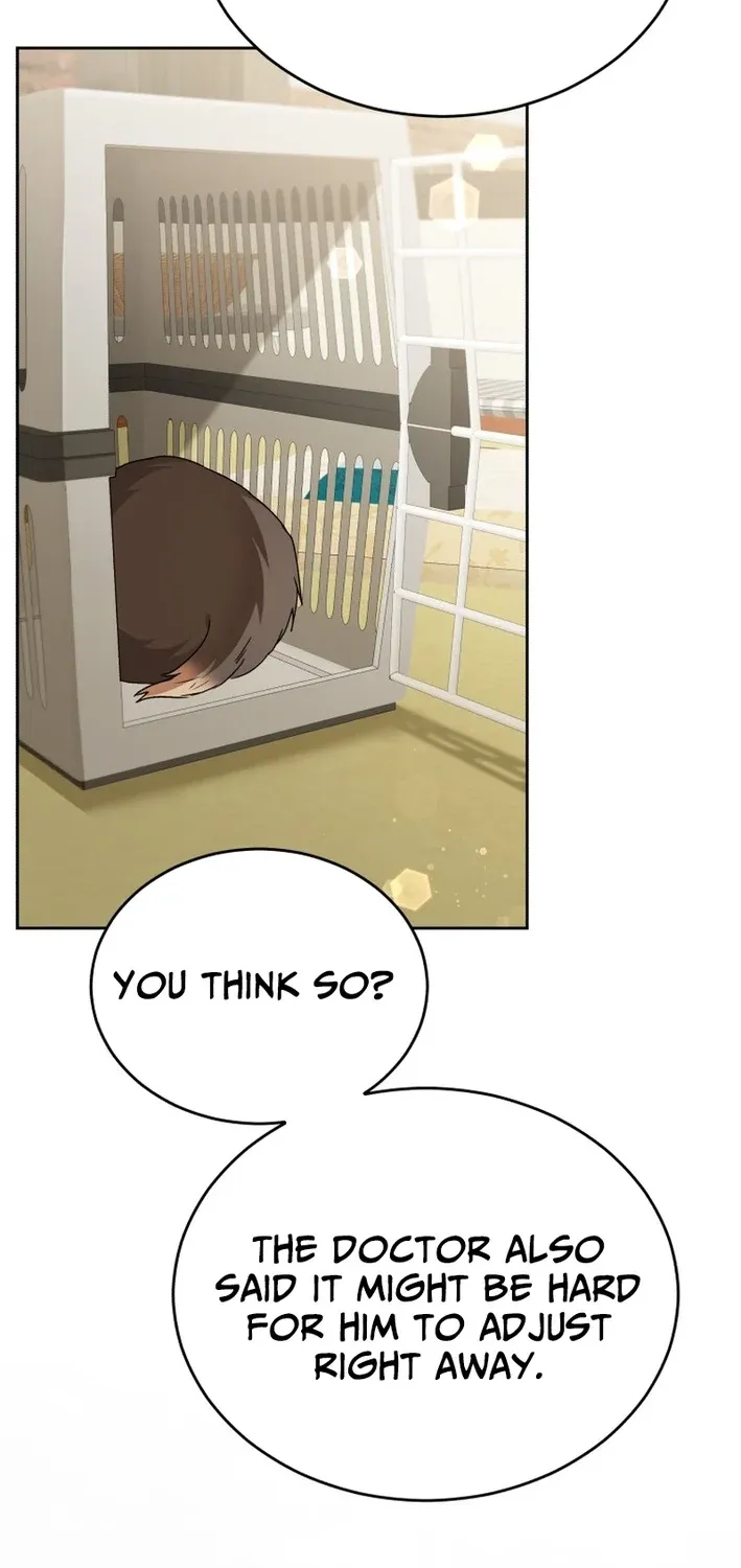 Hello, Mr. Veterinarian! Chapter 103 page 3 - 