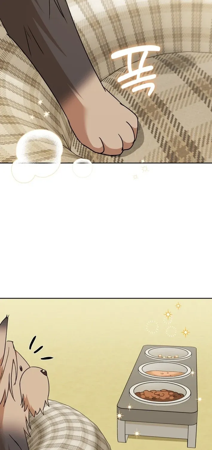 Hello, Mr. Veterinarian! Chapter 103 page 21 - 
