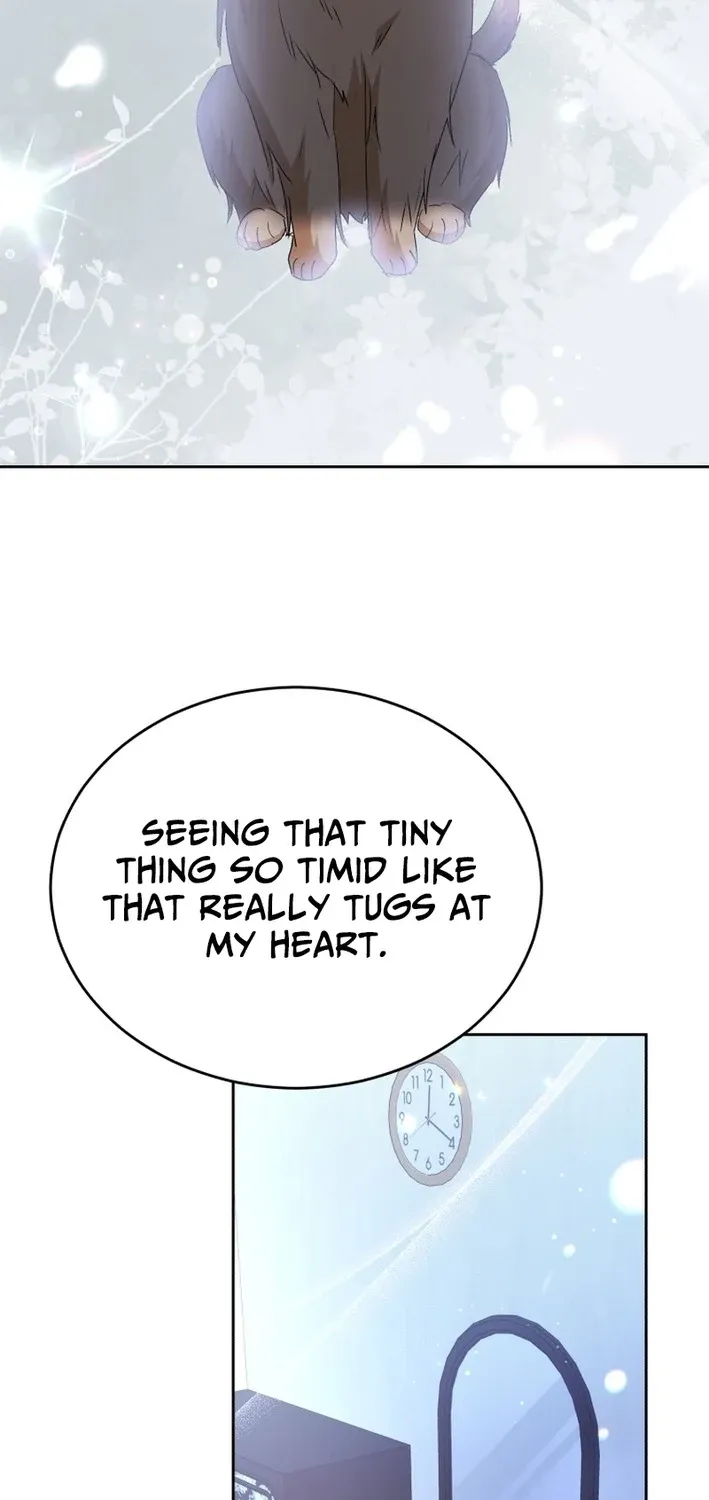 Hello, Mr. Veterinarian! Chapter 103 page 39 - 