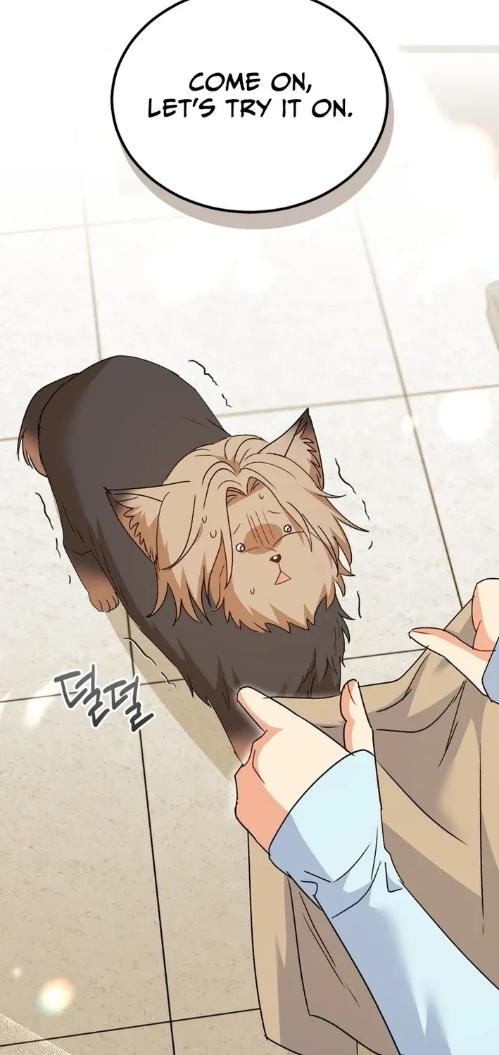 Hello, Mr. Veterinarian! Chapter 104 page 15 - 