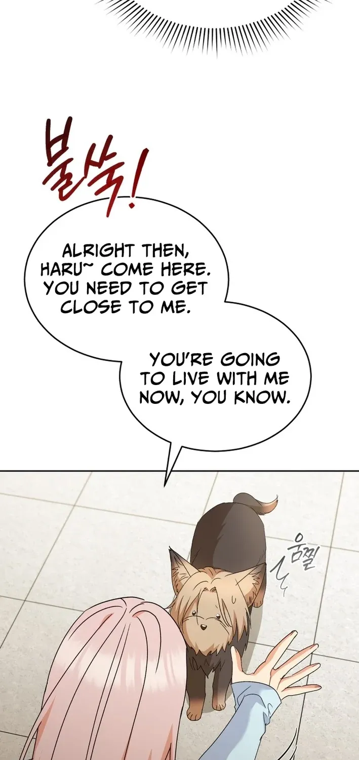Hello, Mr. Veterinarian! Chapter 104 page 25 - 