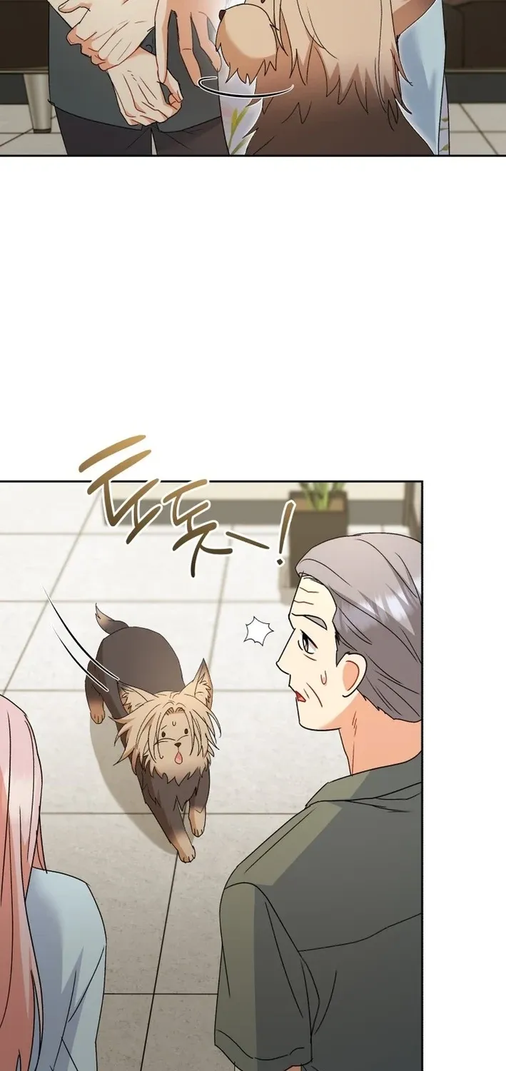 Hello, Mr. Veterinarian! Chapter 104 page 27 - 