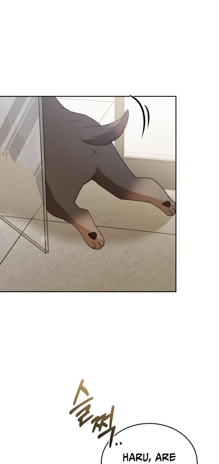 Hello, Mr. Veterinarian! Chapter 104 page 35 - 