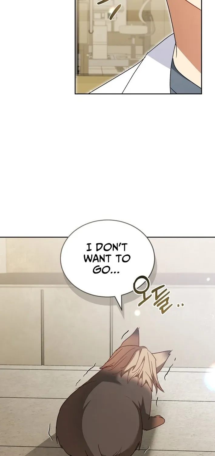 Hello, Mr. Veterinarian! Chapter 104 page 38 - 