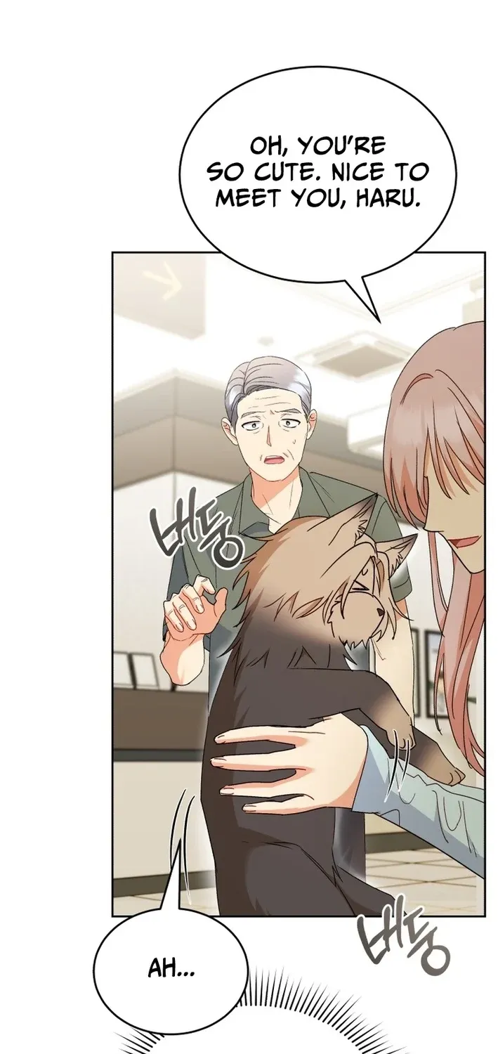 Hello, Mr. Veterinarian! Chapter 104 page 5 - 