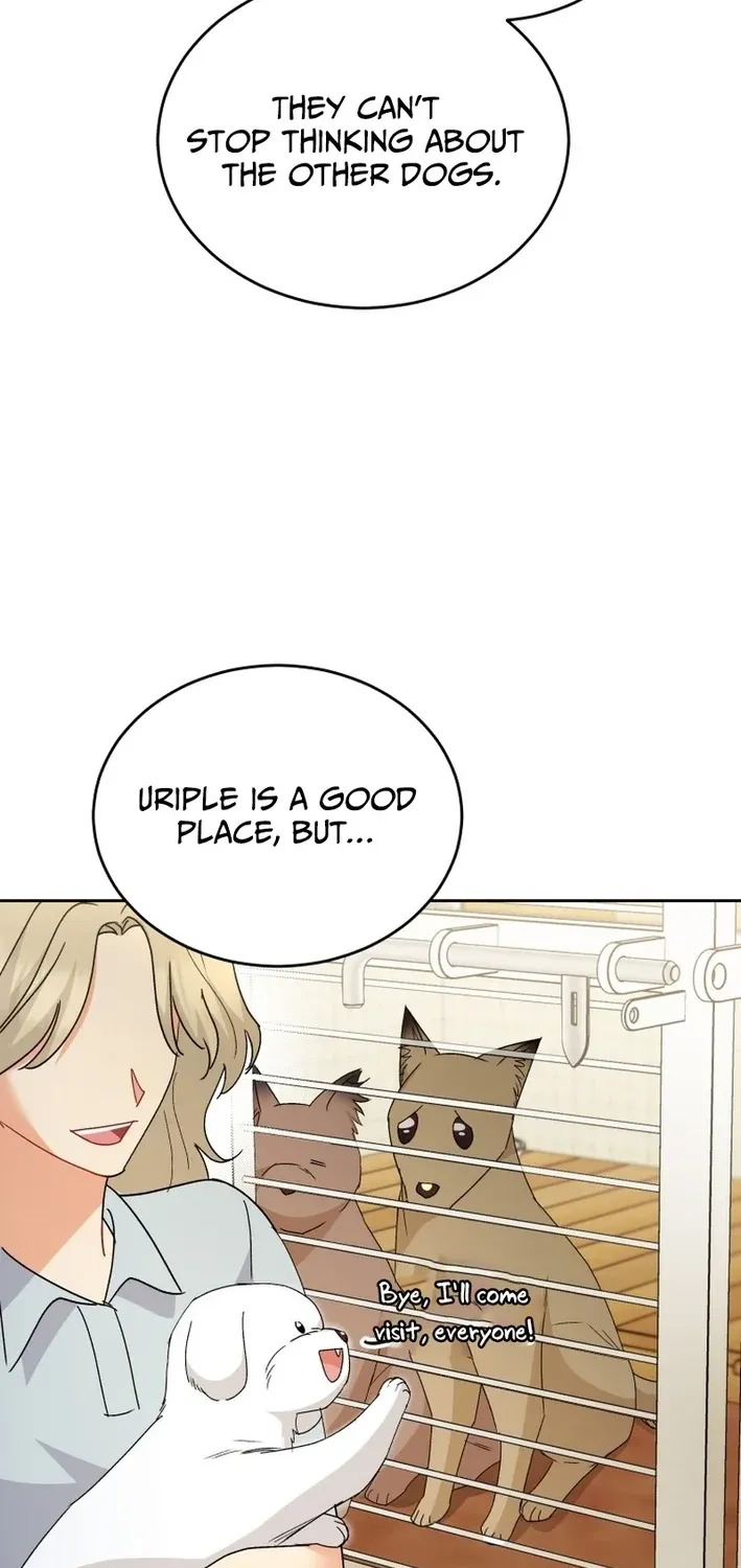 Hello, Mr. Veterinarian! Chapter 106 page 42 - 