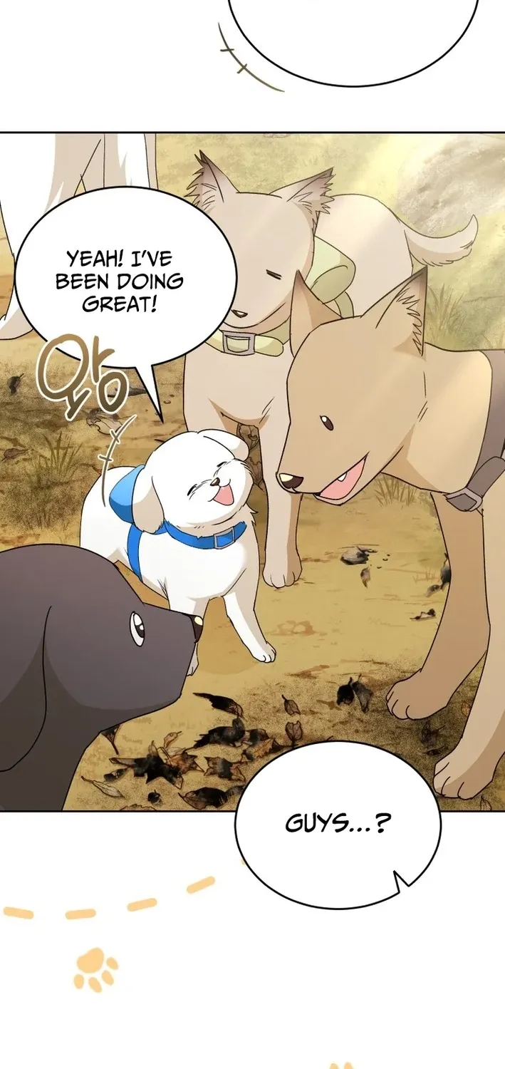 Hello, Mr. Veterinarian! Chapter 106 page 66 - 
