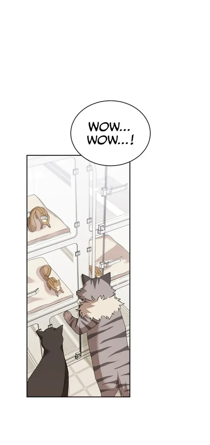 Hello, Mr. Veterinarian! Chapter 109 page 37 - 