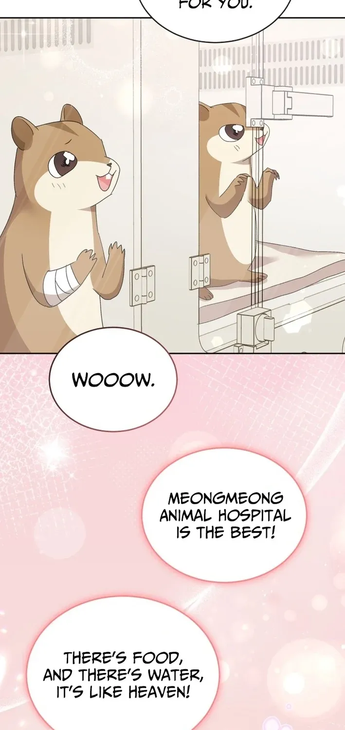 Hello, Mr. Veterinarian! Chapter 109 page 41 - 