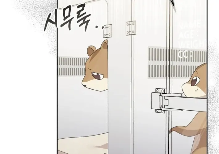 Hello, Mr. Veterinarian! Chapter 109 page 44 - 