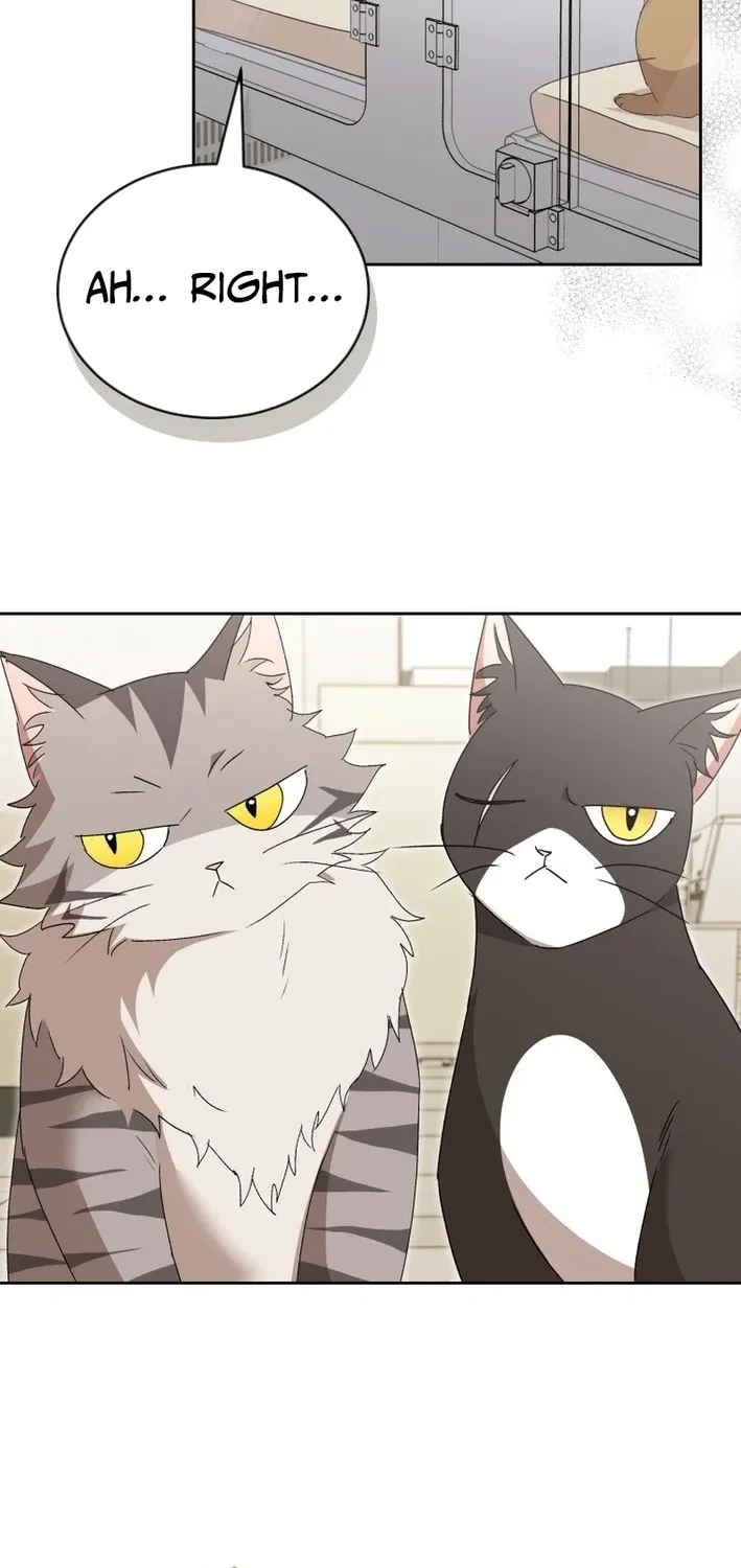 Hello, Mr. Veterinarian! Chapter 109 page 45 - 