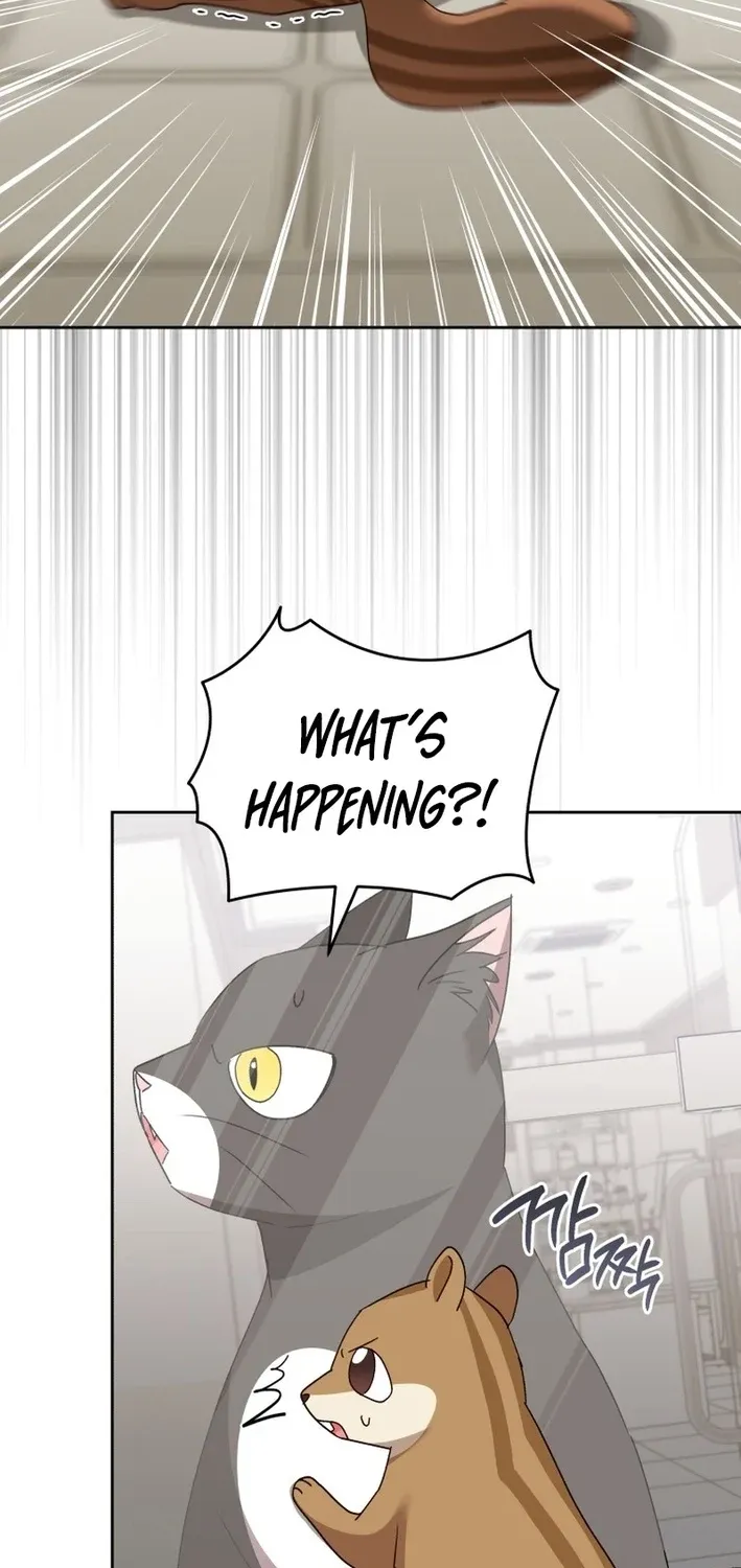 Hello, Mr. Veterinarian! Chapter 109 page 61 - 