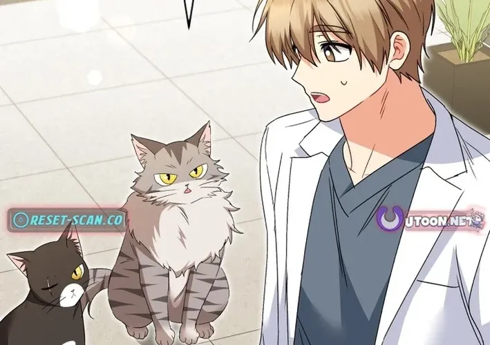 Hello, Mr. Veterinarian! Chapter 112 page 52 - 