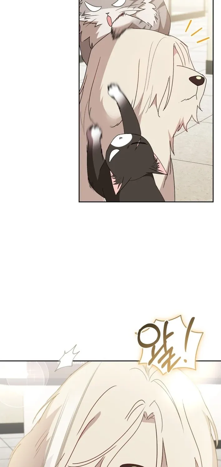 Hello, Mr. Veterinarian! Chapter 112 page 83 - 