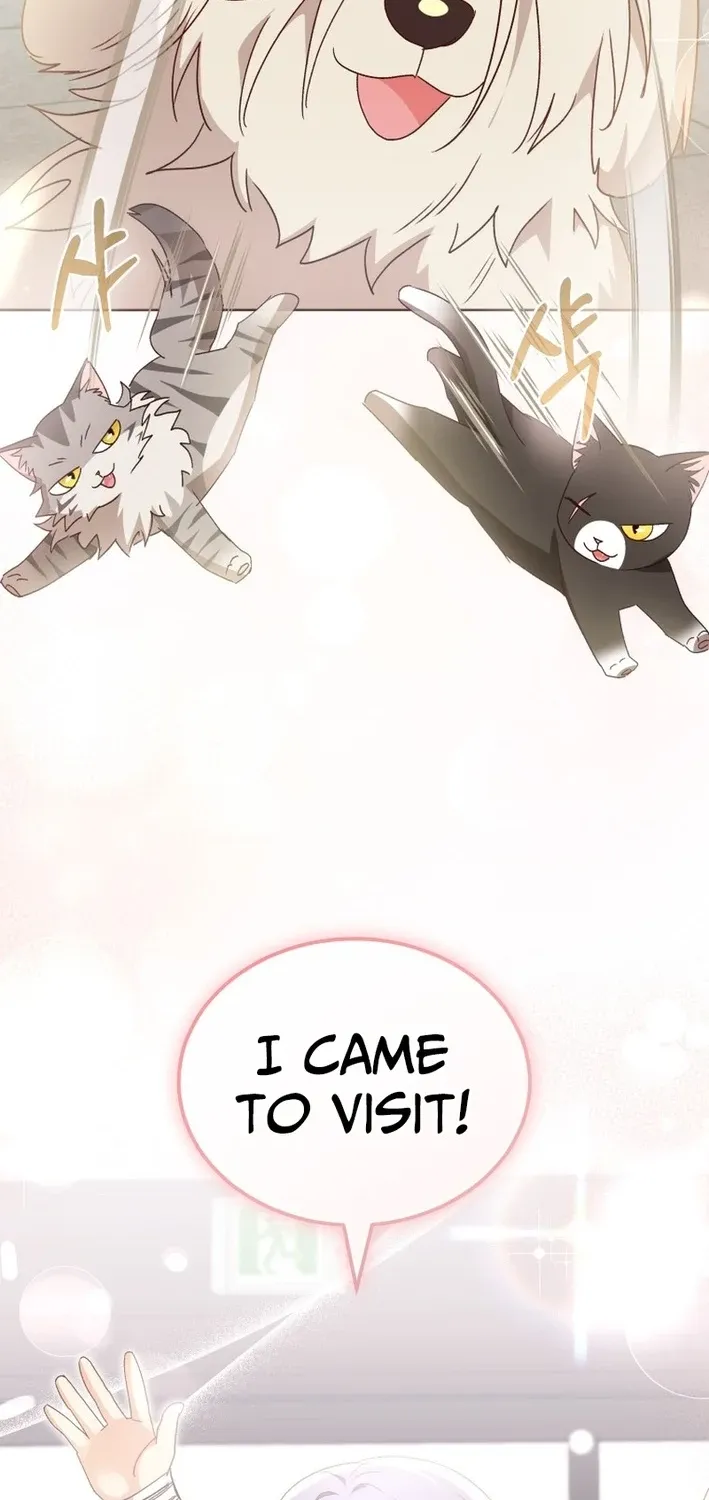 Hello, Mr. Veterinarian! Chapter 112 page 84 - 