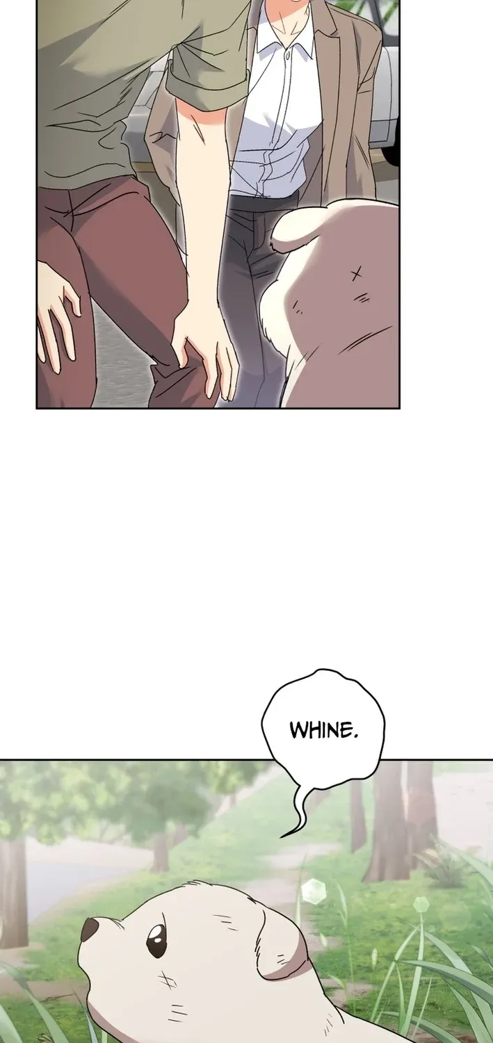 Hello, Mr. Veterinarian! Chapter 113 page 47 - 