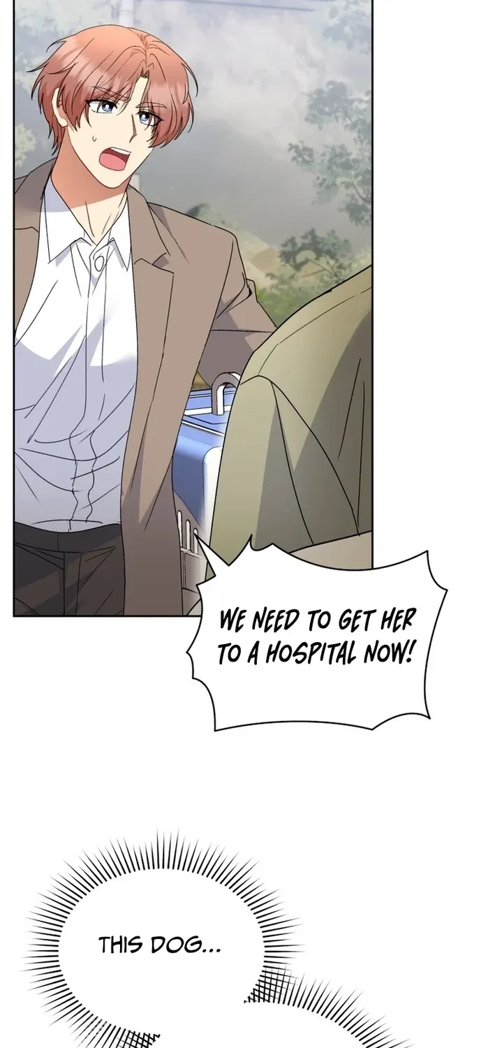 Hello, Mr. Veterinarian! Chapter 113 page 55 - 