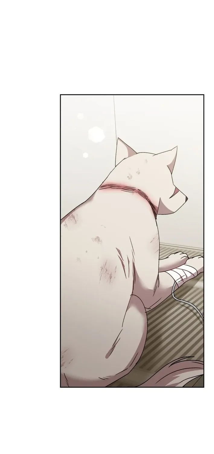 Hello, Mr. Veterinarian! Chapter 113 page 62 - 