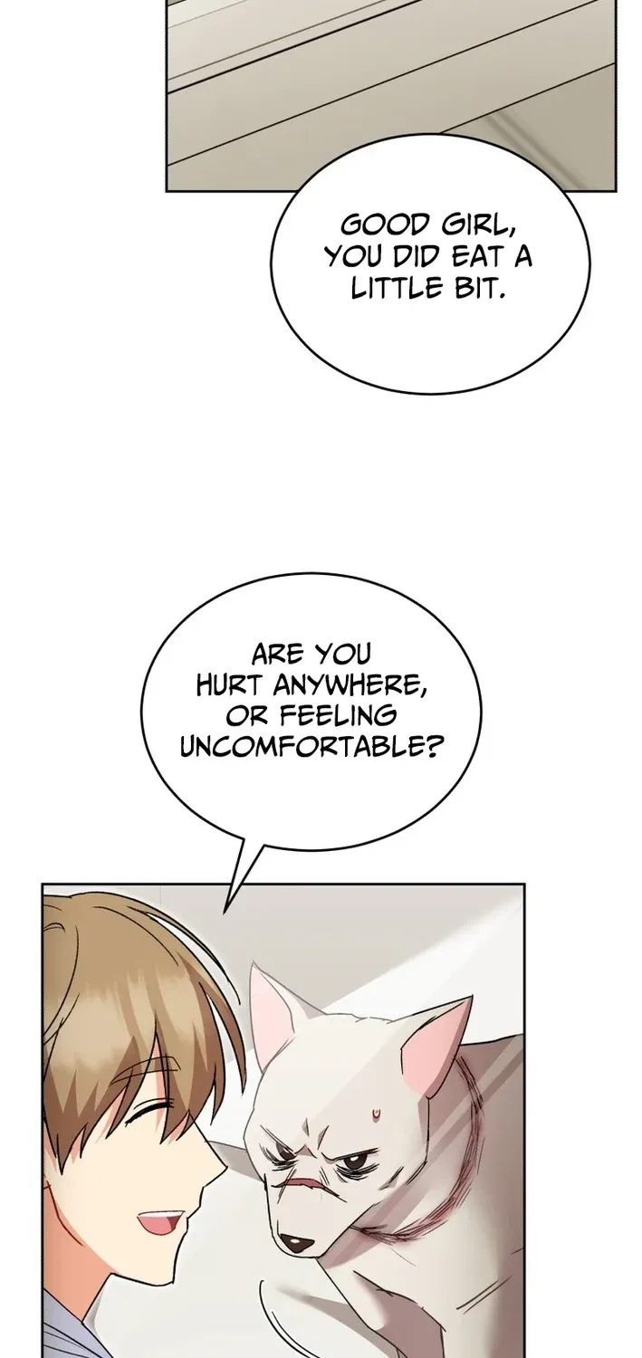 Hello, Mr. Veterinarian! Chapter 114 page 53 - 