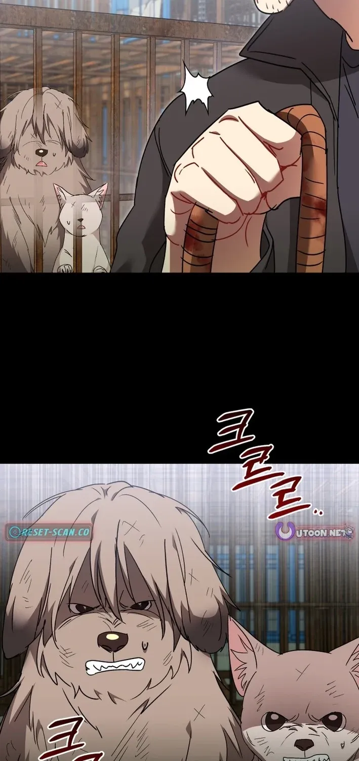 Hello, Mr. Veterinarian! Chapter 115 page 45 - 