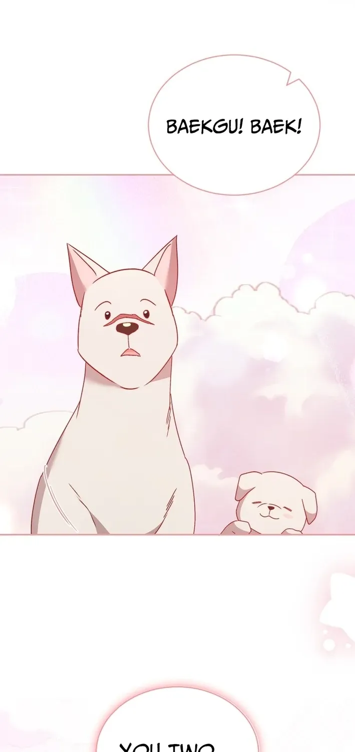 Hello, Mr. Veterinarian! Chapter 115 page 74 - 