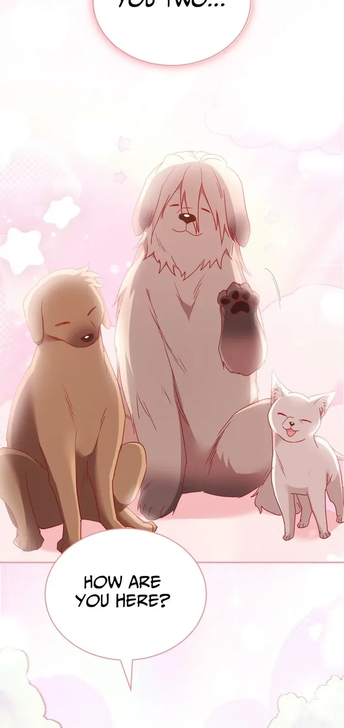 Hello, Mr. Veterinarian! Chapter 115 page 75 - 