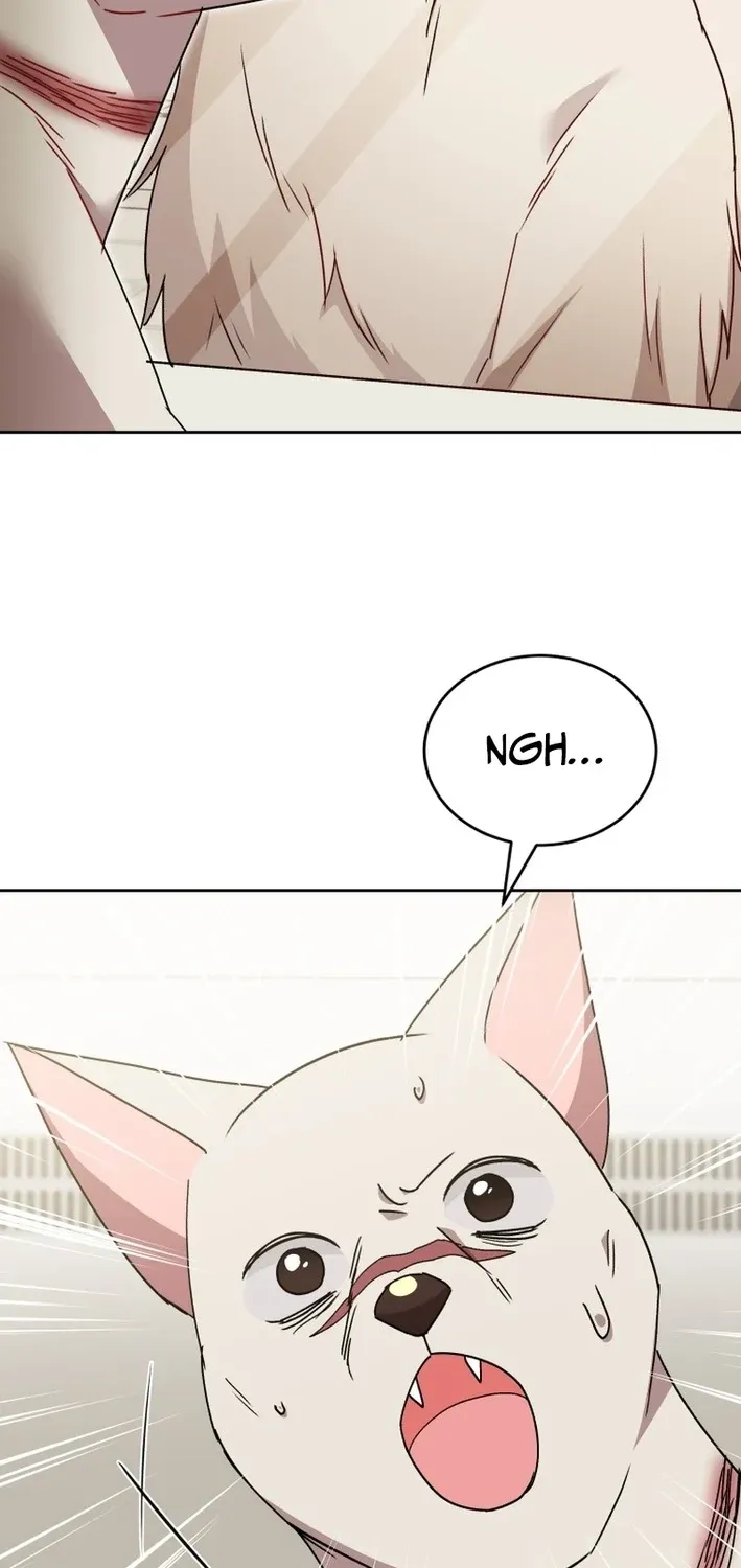 Hello, Mr. Veterinarian! Chapter 115 page 83 - 