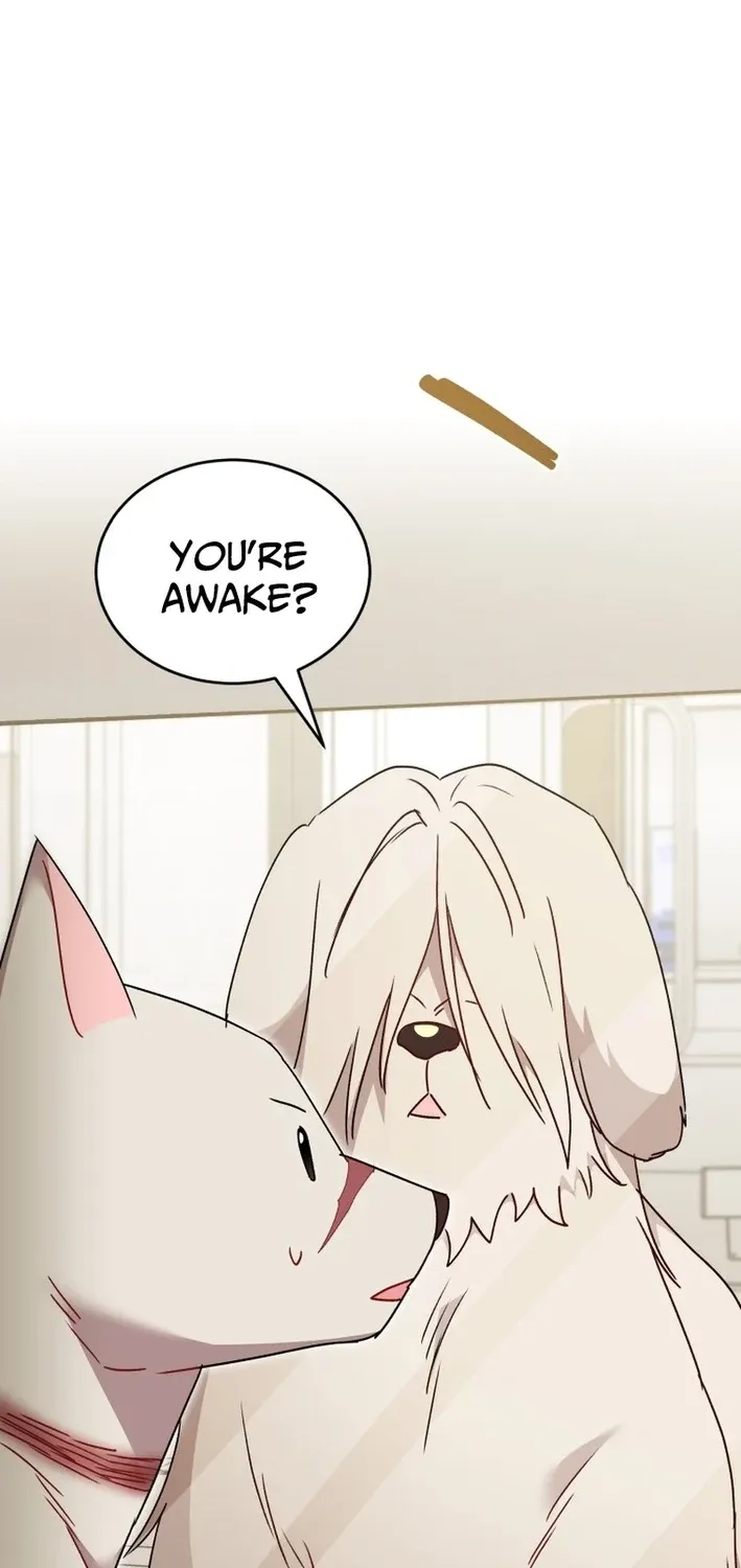 Hello, Mr. Veterinarian! Chapter 116 page 2 - 